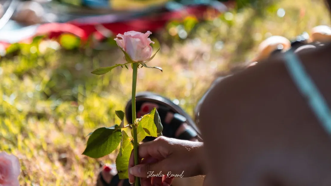 Une rose tenue à la main lors du Festival du Féminin